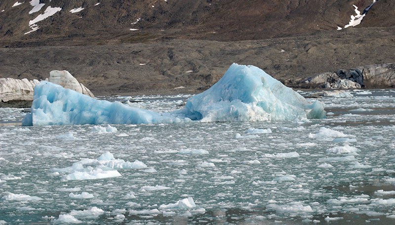 Brash et icebergs au Svalbard