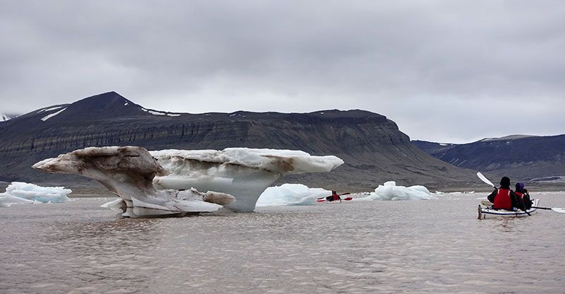 Kayak parmi les icebergs dans le fjord d'Ekman 