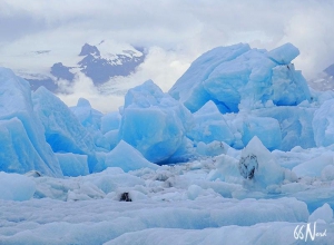 Icebergs bleutés en Islande ©Clément Legain