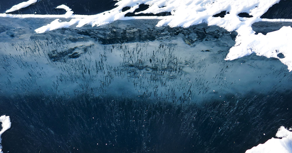 Glace translucide du lac Baikal, Russie ©Elodie Roux, équipe 66°Nord